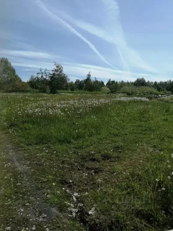 Участок в Новгородская область, Новгородский район, Савинское с/пос, ... - Фото 0