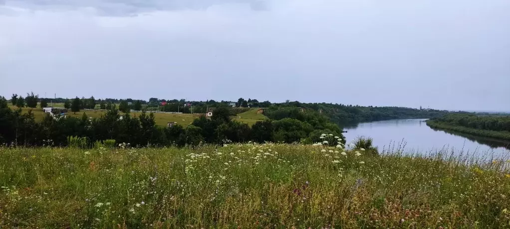 Участок в Рязанская область, Спасский муниципальный округ, с. Троица  ... - Фото 1