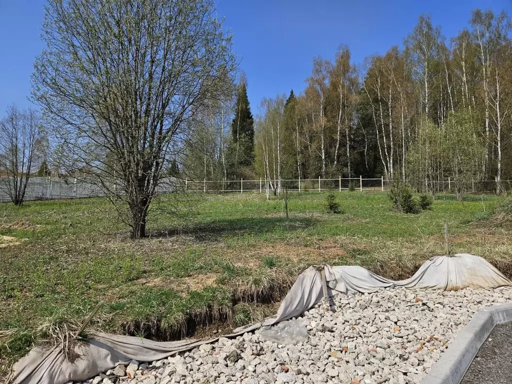 Участок в Московская область, Мытищи городской округ, д. Шолохово  ... - Фото 1