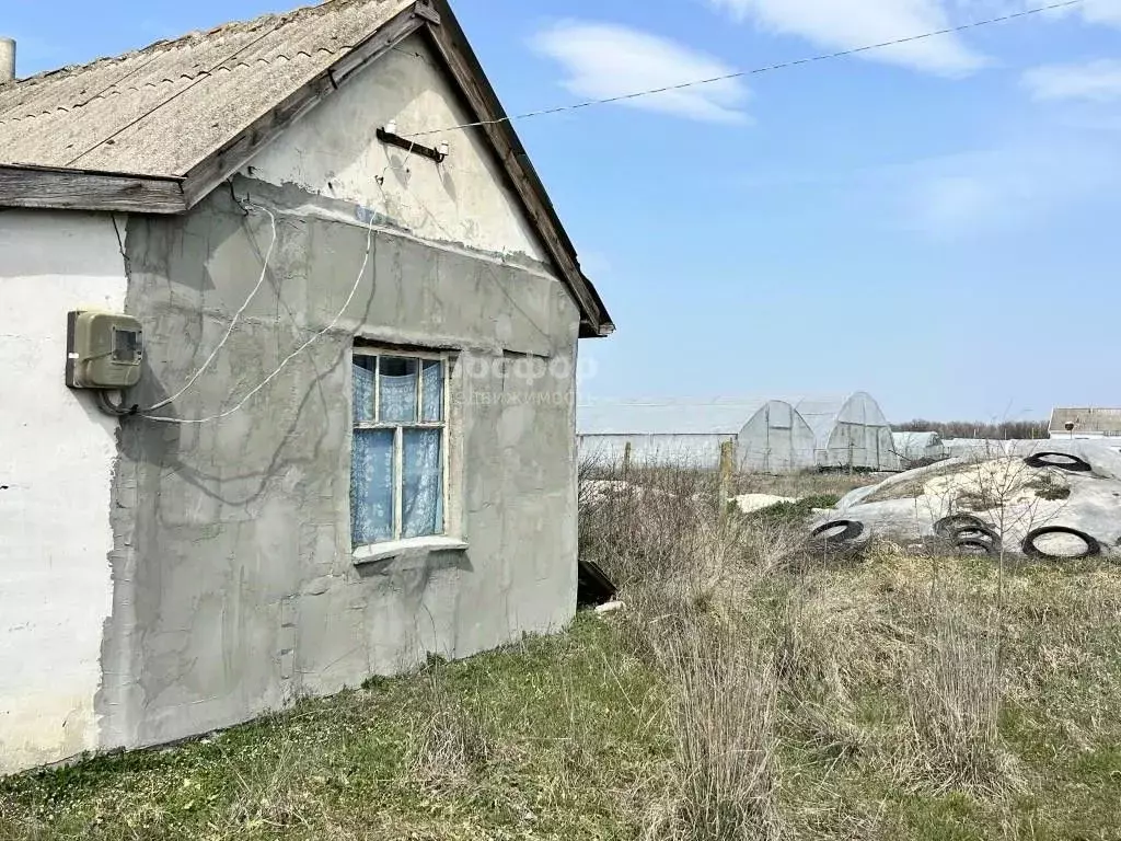 Участок в Крым, Кировский район, Яркополенское с/пос, с. ... - Фото 2