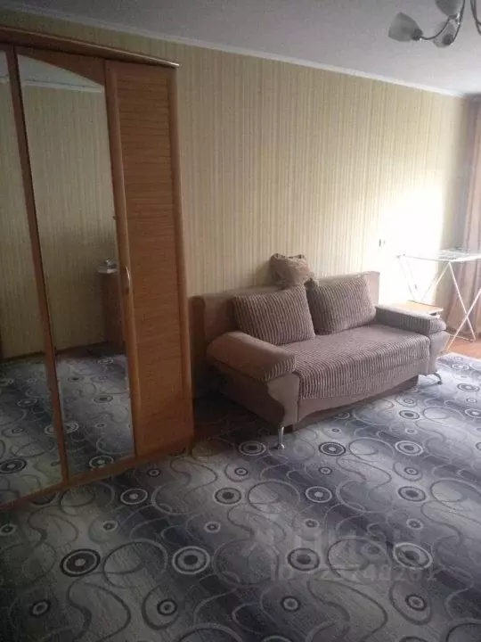 1-к кв. Омская область, Омск наб. Иртышская, 12 (33.0 м) - Фото 1