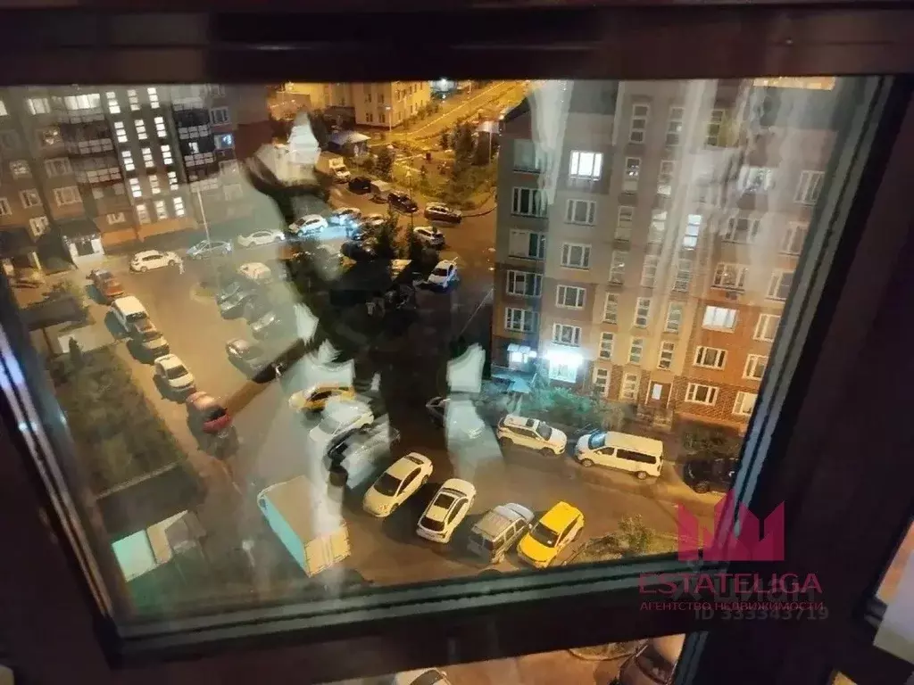 1-к кв. Московская область, Ленинский городской округ, Лопатино пгт ... - Фото 2
