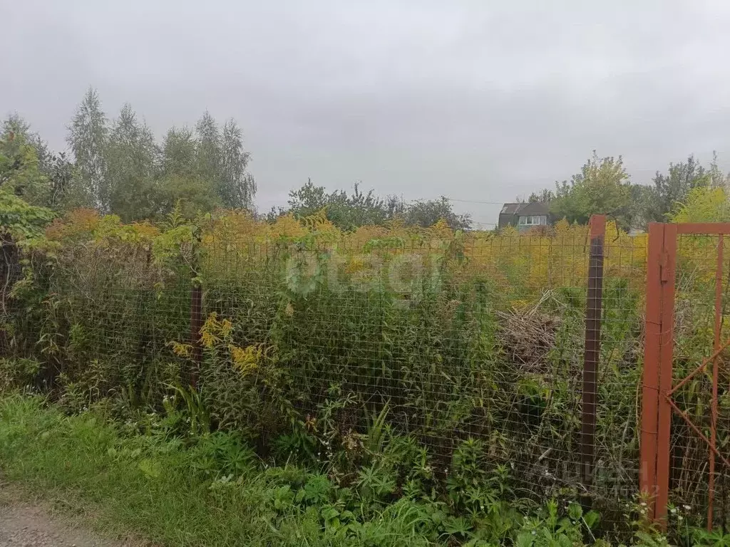 Участок в Орловская область, Орловский муниципальный округ, Ромашка ... - Фото 1