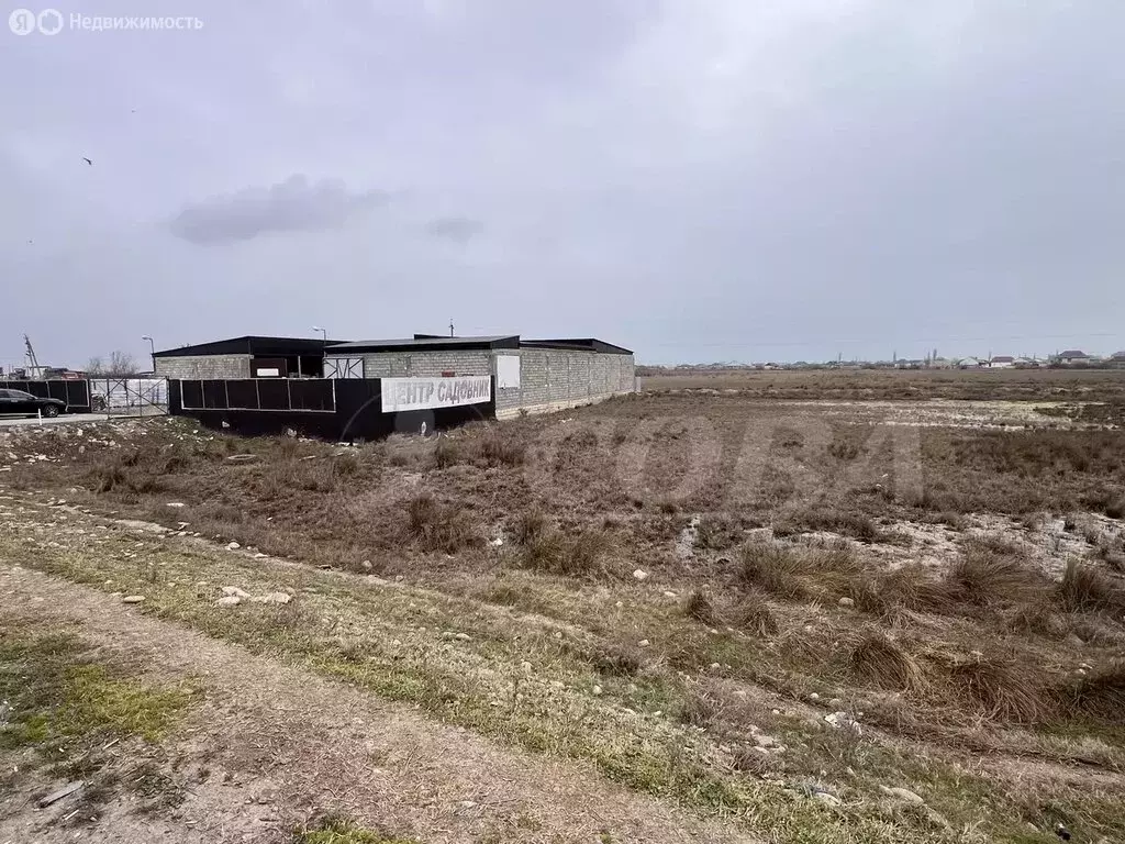 Участок в Докузпаринский район, село Авадан (49 м) - Фото 1