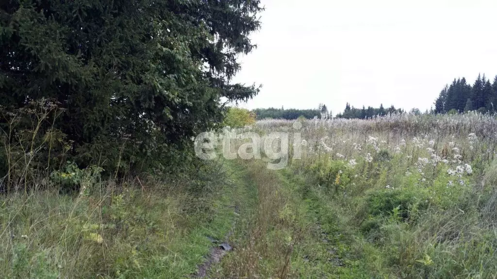 Участок в Свердловская область, Тугулымский городской округ, с. ... - Фото 0