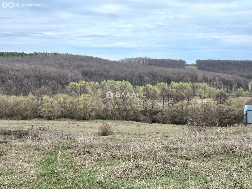 Дом в Пензенский район, Саловский сельсовет, деревня Толузаковка, ... - Фото 2