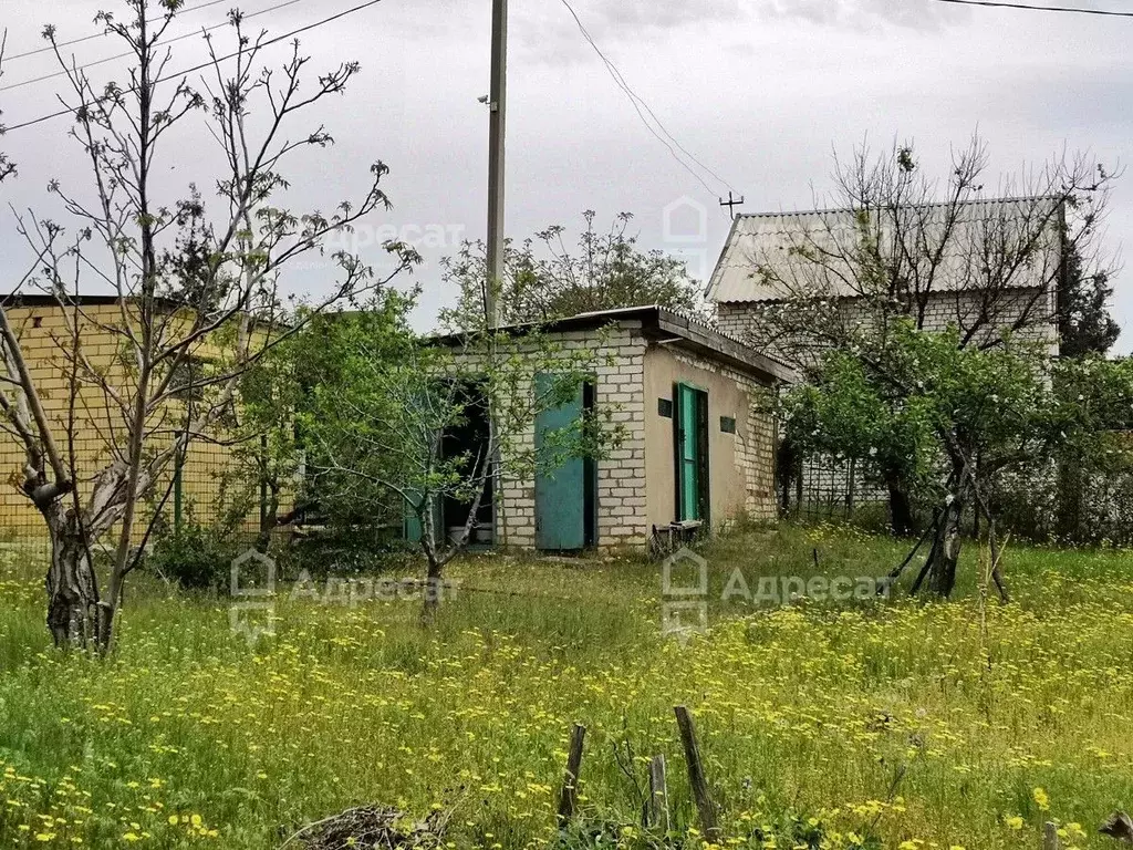 Дом в Волгоградская область, Дубовский район, Пичужинское с/пос, ... - Фото 1