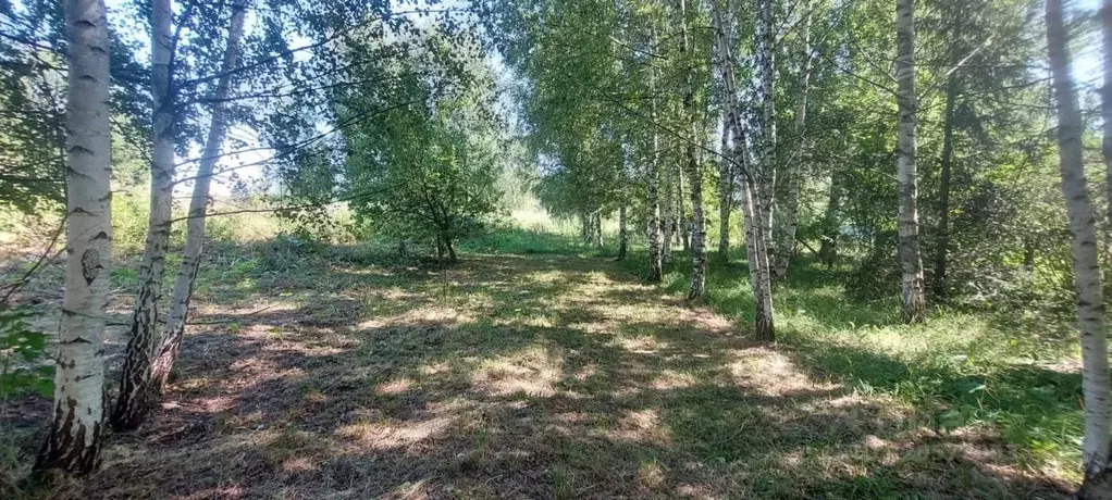 Участок в Московская область, Клин городской округ, д. Борисово  (10.0 ... - Фото 0