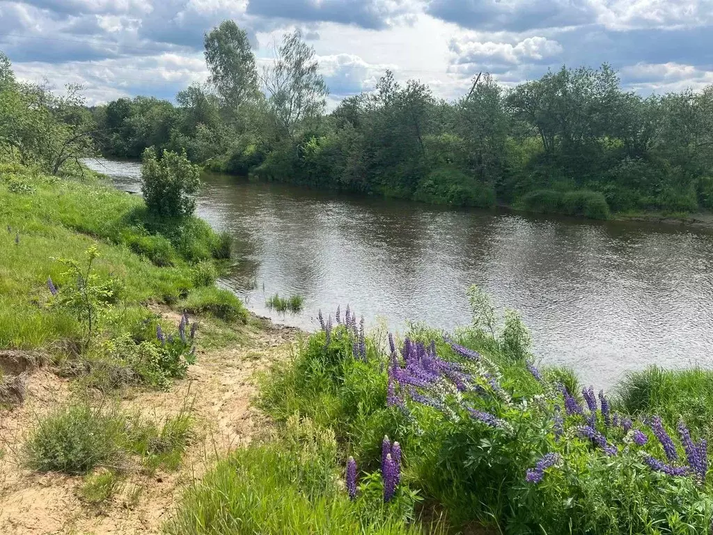 Участок в Владимирская область, Киржачский район, Горкинское ... - Фото 2
