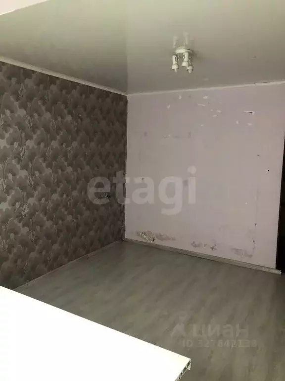 1-к кв. Тюменская область, Тюмень ул. Мельникайте, 67 (17.0 м) - Фото 2