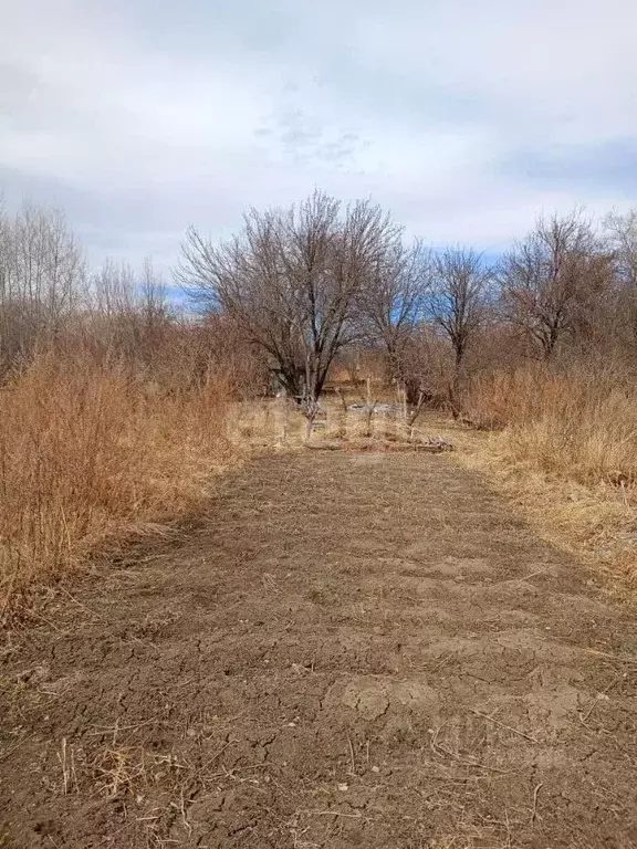 Участок в Амурская область, Благовещенск  (10.0 сот.) - Фото 0