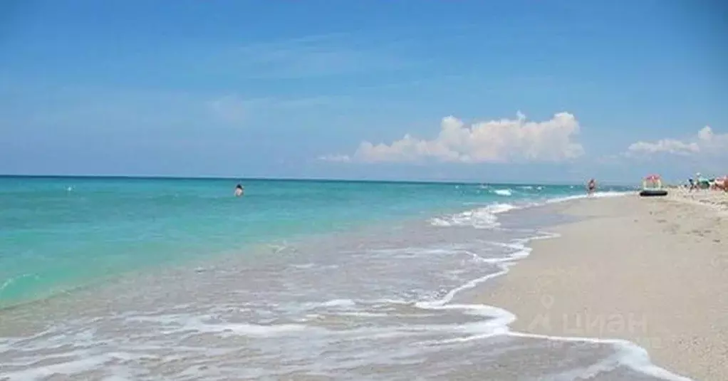 Участок в Крым, Сакский район, Молочненское с/пос, с. Витино  (6.0 ... - Фото 1