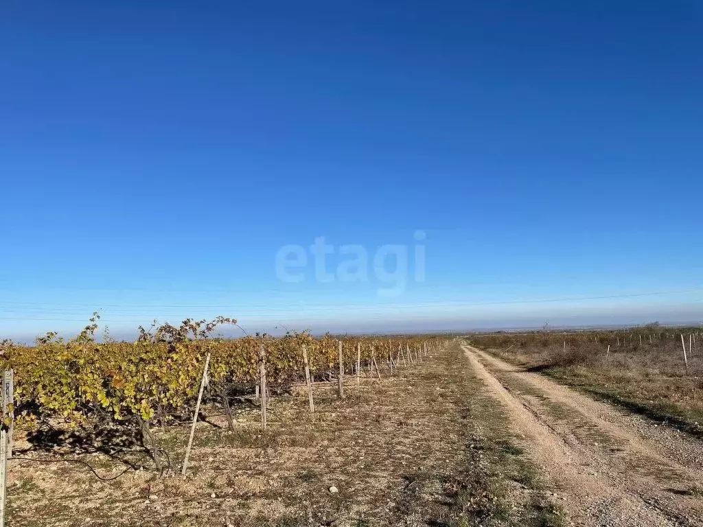 Участок в Крым, Кировский район, Первомайское с/пос, с. Изюмовка  ... - Фото 0