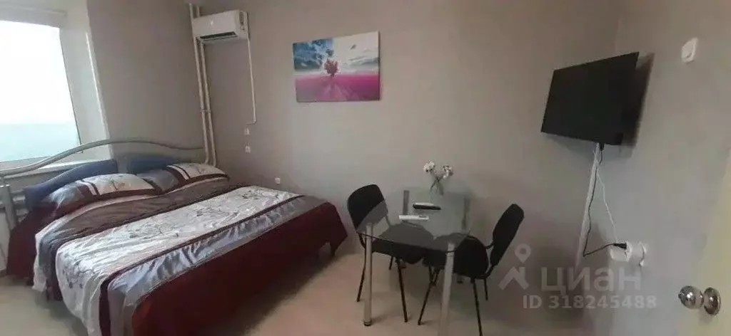 1-к кв. Челябинская область, Челябинск ул. Петра Сумина, 22 (24.0 м) - Фото 0