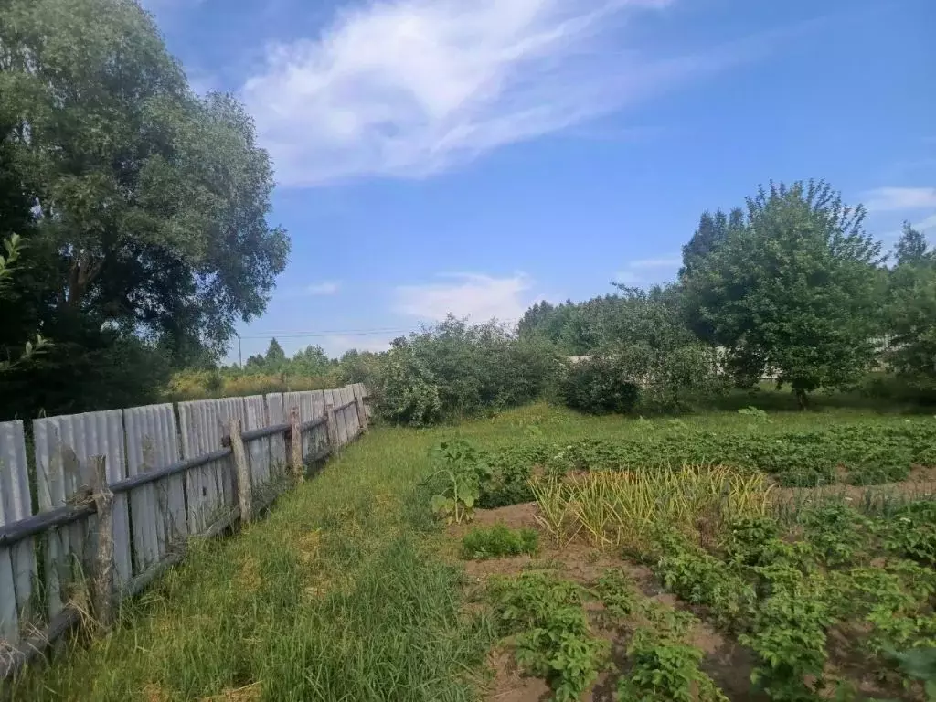 Участок в Нижегородская область, Шатковский муниципальный округ, с. ... - Фото 2