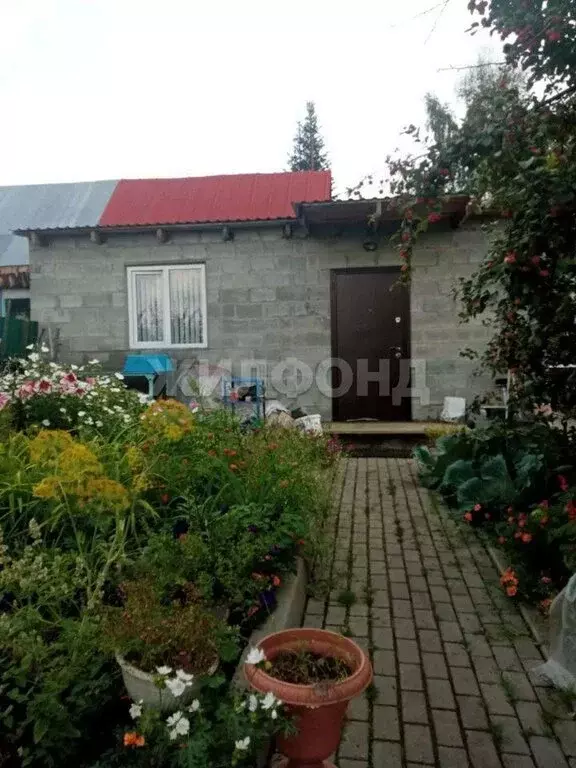 Дом в Томск, посёлок Росинка, Урожайная улица (55 м) - Фото 2