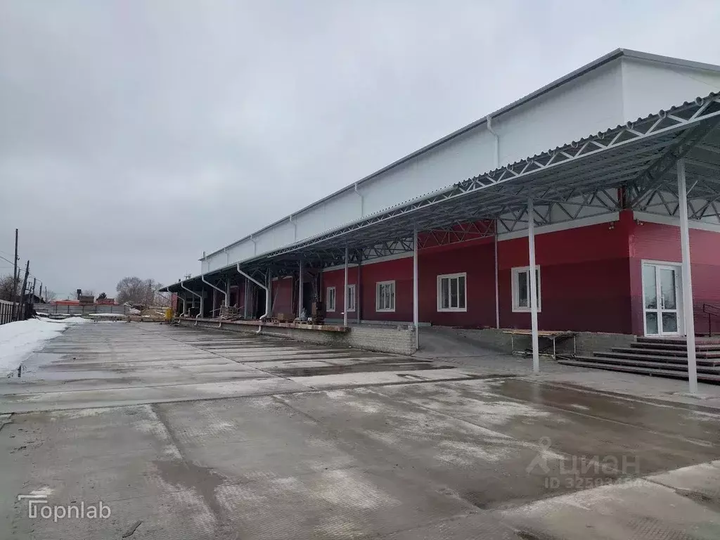 Помещение свободного назначения в Алтайский край, Барнаул ул. ... - Фото 2