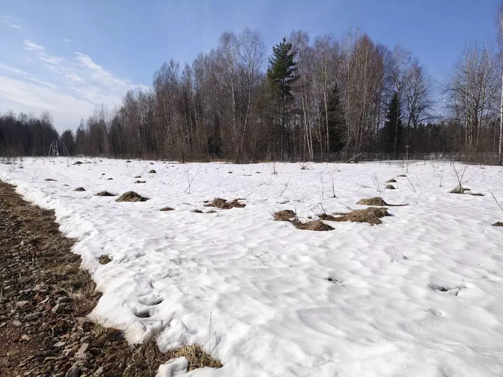 Участок, 8 сот., сельхоз (снт или днп) - Фото 1