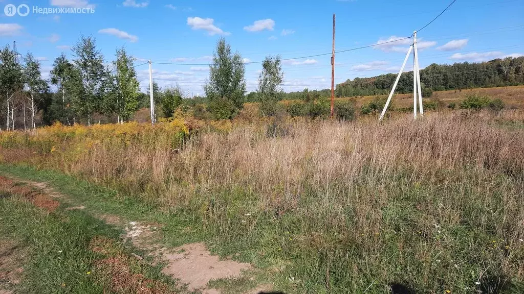 Участок в Ясногорский район, сельское поселение Теляковское, село ... - Фото 2