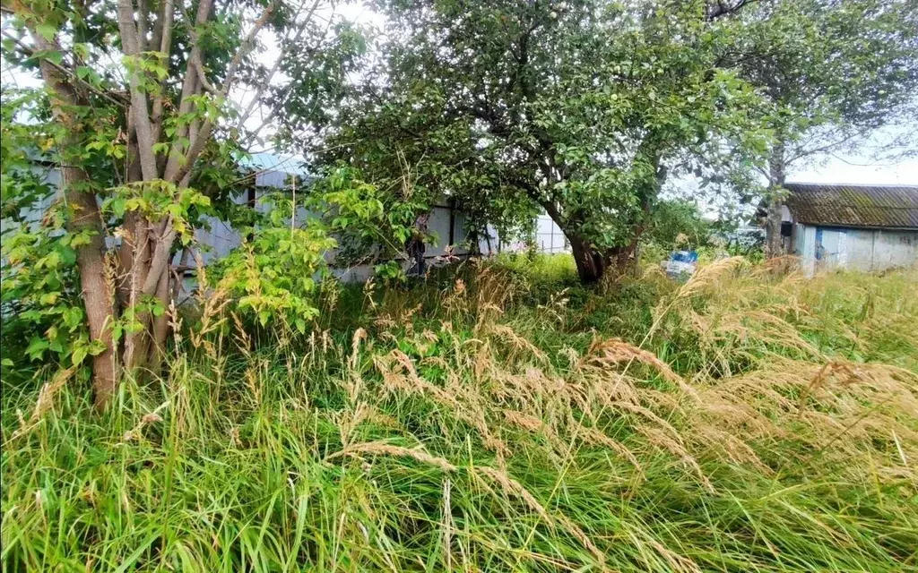 Участок в Московская область, Чехов муниципальный округ, Троицкое пгт  ... - Фото 1