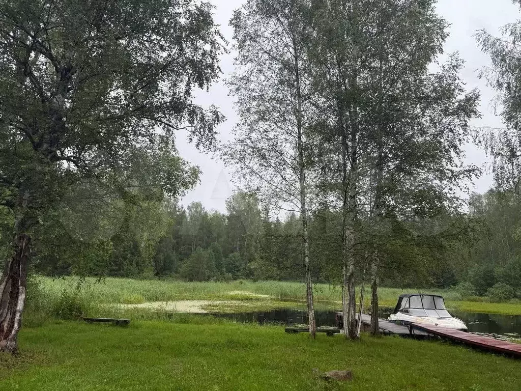 Участок 81 сот. (СНТ, ДНП) - Фото 0