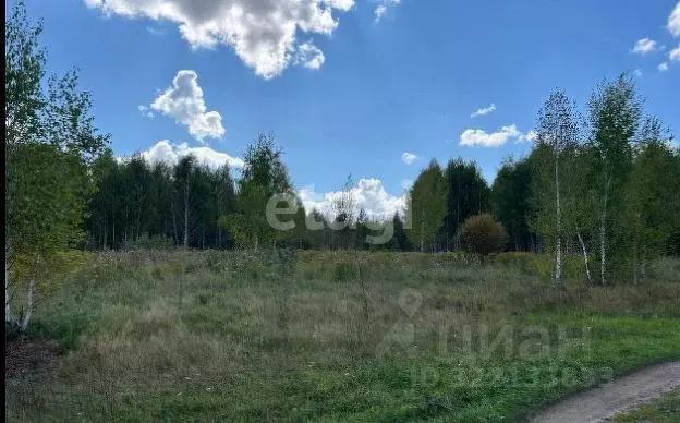 Участок в Новосибирская область, Новосибирск Пашино мкр, ул. ... - Фото 1