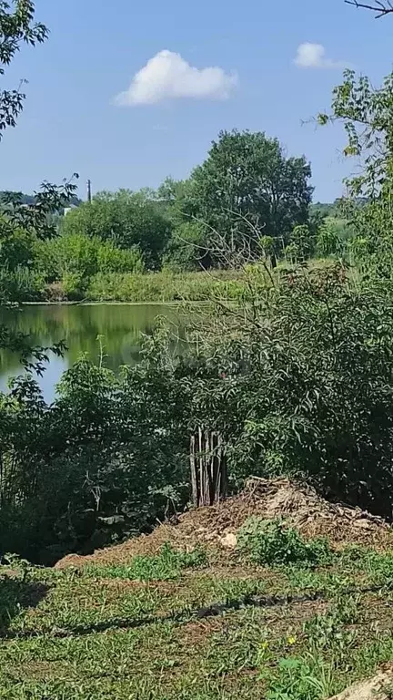 Участок в Мордовия, Краснослободский район, Старогоряшинское с/пос, д. ... - Фото 1