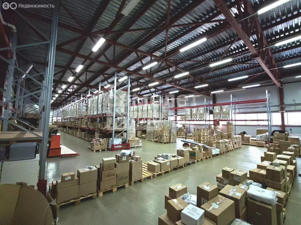 Помещение свободного назначения (993 м) - Фото 2