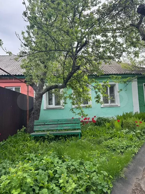 Дом 56,4 м на участке 8 сот. - Фото 0