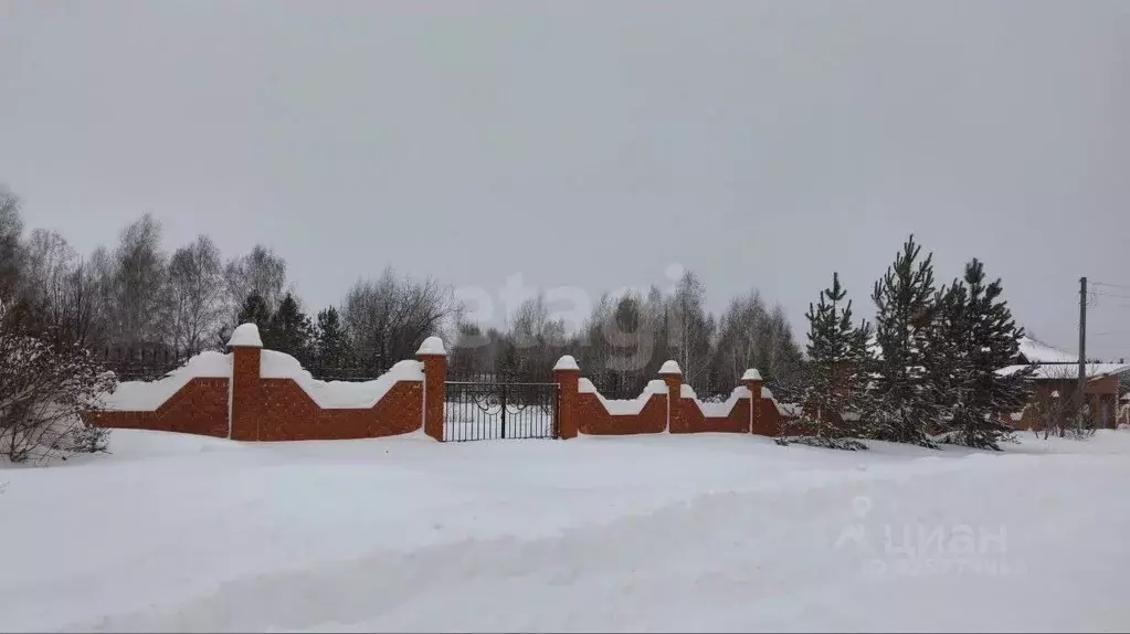 Участок в Алтайский край, Барнаул городской округ, пос. Бельмесево ул. ... - Фото 1