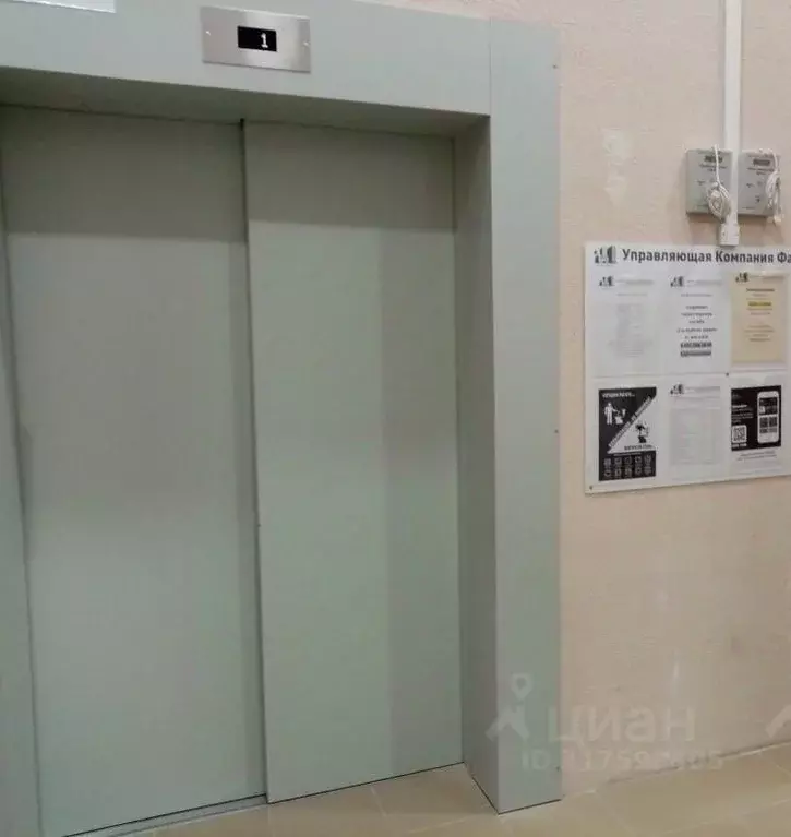 Студия Ленинградская область, Всеволожск ш. Дорога Жизни, 7к2 (19.7 м) - Фото 1