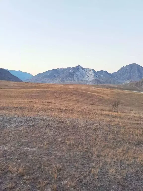 Участок в Алтай, Онгудайский район, с. Инегень Центральная ул., 15 ... - Фото 0