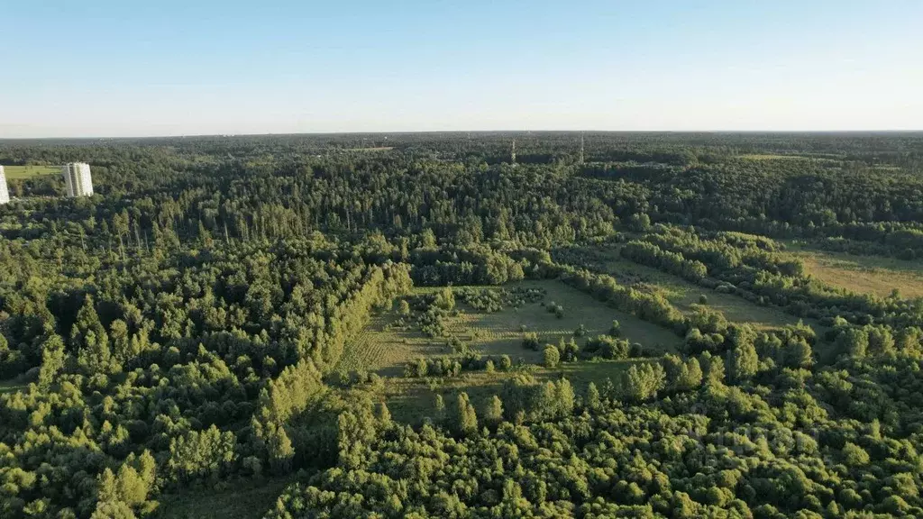 Участок в Московская область, Звенигород Одинцовский городской округ, ... - Фото 1