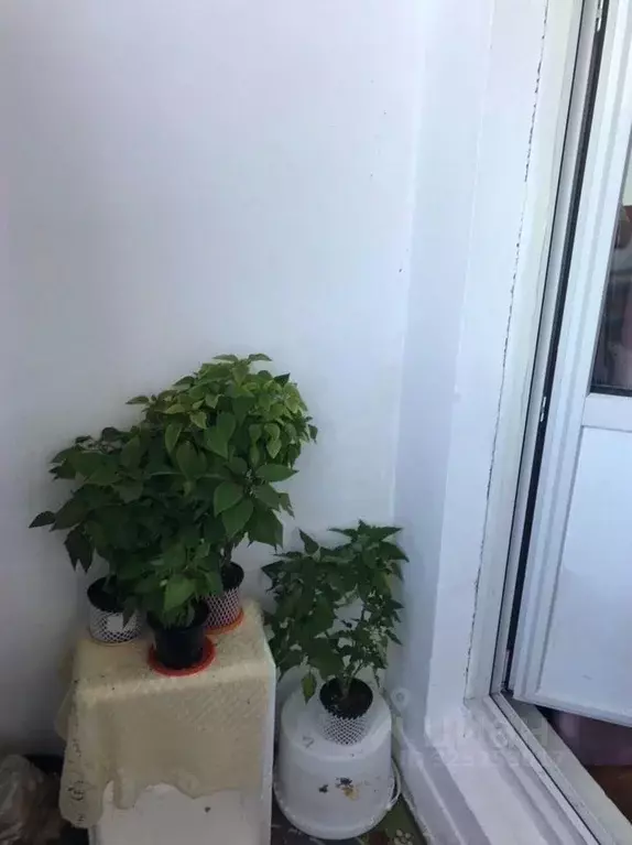 Комната Московская область, Одинцовский городской округ, с. Немчиновка ... - Фото 2