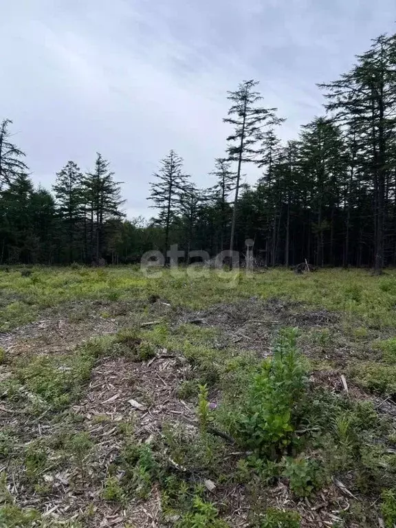 Участок в Сахалинская область, Корсаковский городской округ, с. Дачное ... - Фото 1