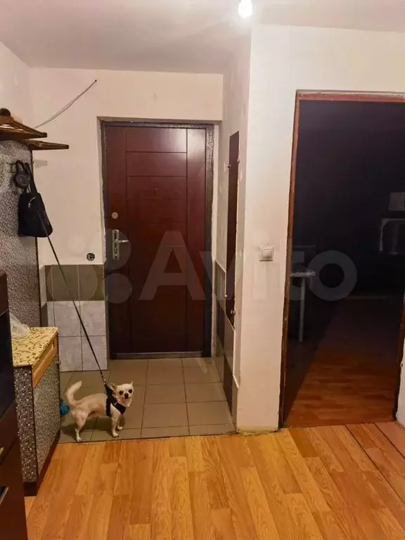 3-к. квартира, 69 м, 12/12 эт. - Фото 0