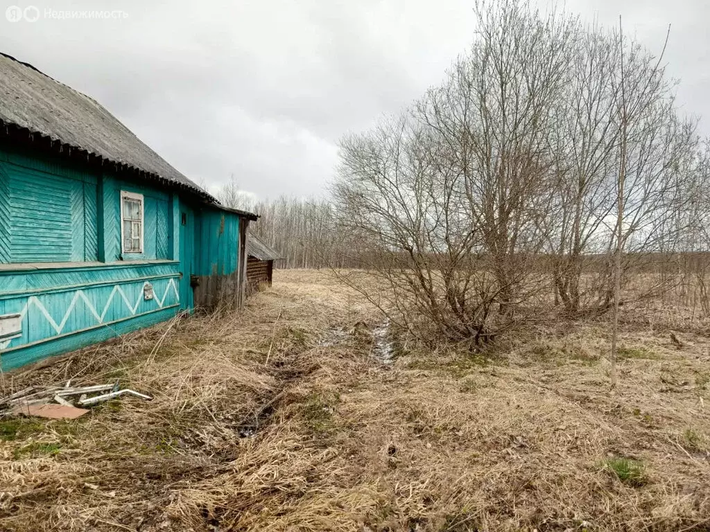 Участок в Новгородская область, Волотовский муниципальный округ, ... - Фото 2