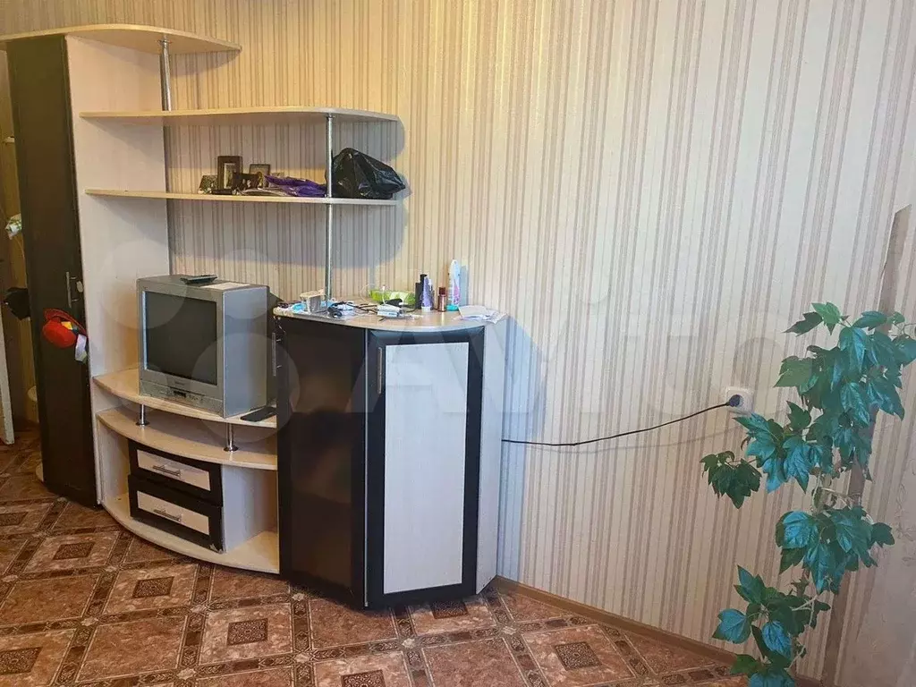 елабуга улица автомобилистов д 2 квартира 21. снять квартиру в екатеринбурге посуточно по 1000 рублей. квартира 1 комнатная месяц. съем комнаты. квартиры обстановка елабуга.