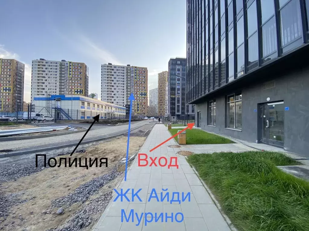 Помещение свободного назначения в Ленинградская область, Мурино ... - Фото 2