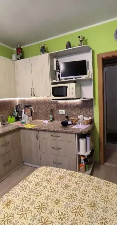 3-к кв. Новосибирская область, Новосибирск Родники мкр, ул. Свечникова ... - Фото 1