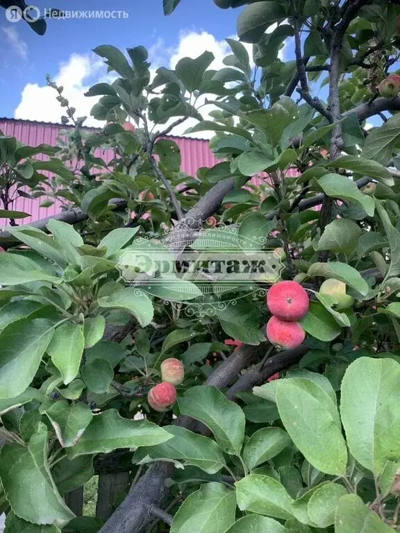 Участок в Курган (5 м) - Фото 1