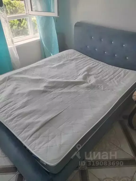 Студия Краснодарский край, Сочи Старая Мацеста мкр, пер. Лечебный, 2/3 ... - Фото 1
