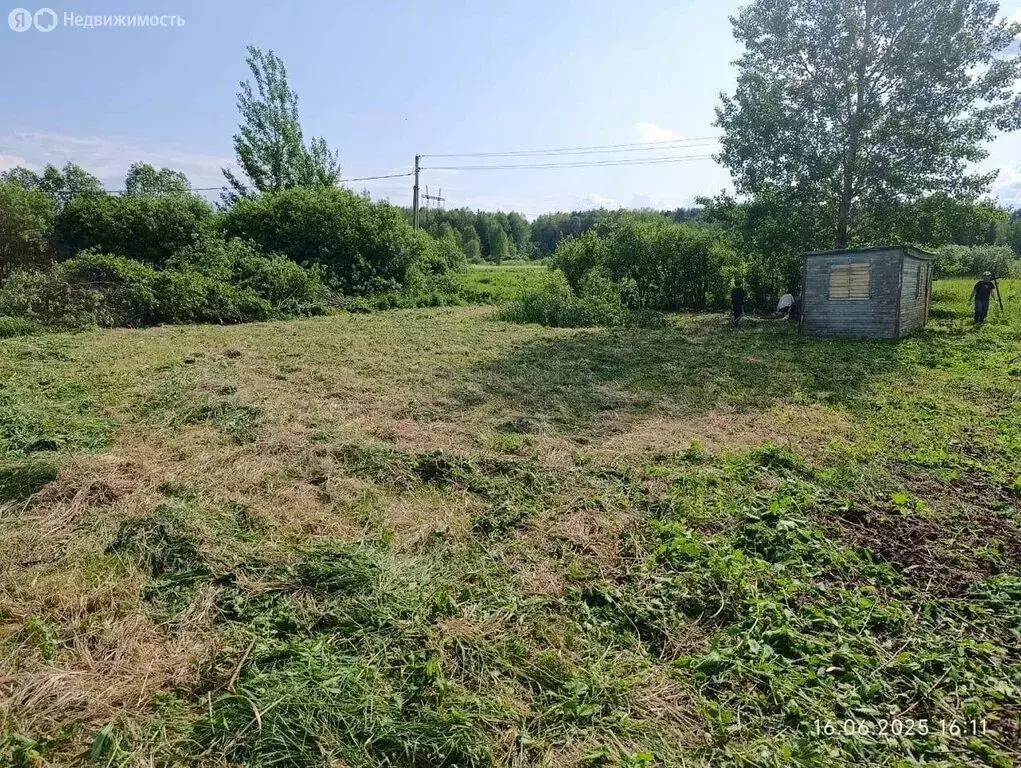 Участок в Московская область, Сергиево-Посадский городской округ, СНТ ... - Фото 1
