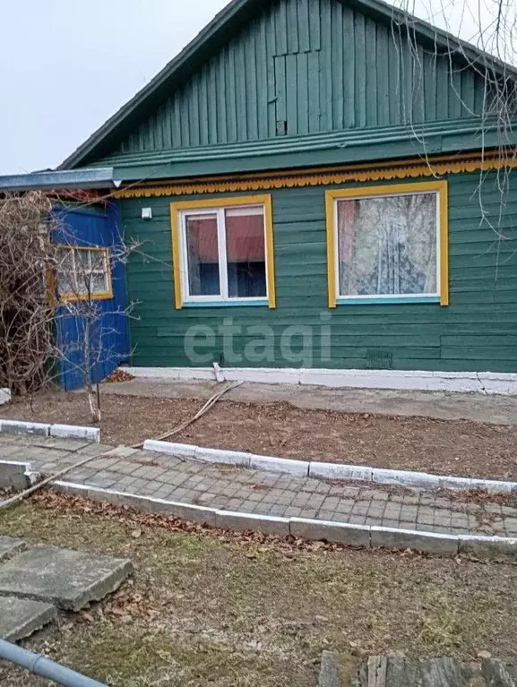 Дом в Амурская область, Бурейский муниципальный округ, с. Николаевка  ... - Фото 0