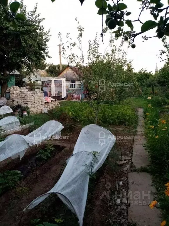 Дом в Волгоградская область, Светлоярский район, Кировское с/пос, ... - Фото 1