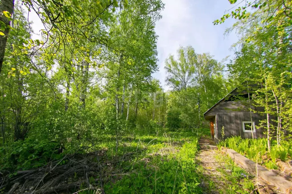 Дом в Томская область, Томск пос. Геологов, ул. Геологов (29 м) - Фото 1