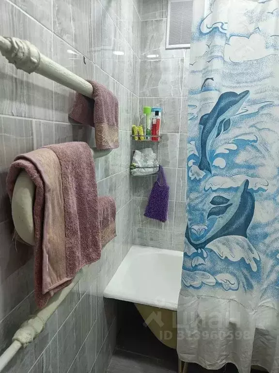 1-к кв. Мурманская область, Апатиты Фестивальная ул., 4 (31.0 м) - Фото 2