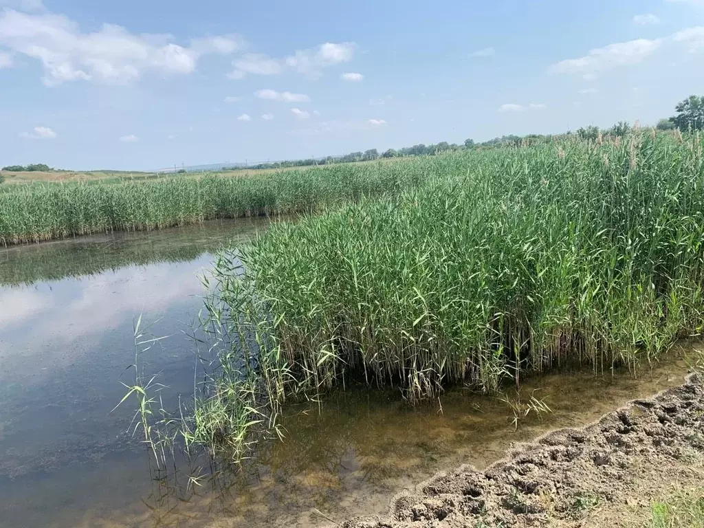 Участок в Краснодарский край, Анапа муниципальный округ, Иванов хут. ... - Фото 1