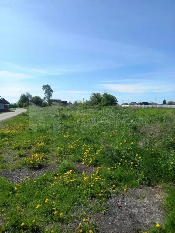 Участок в Тюменская область, Тюменский муниципальный округ, с. ... - Фото 2