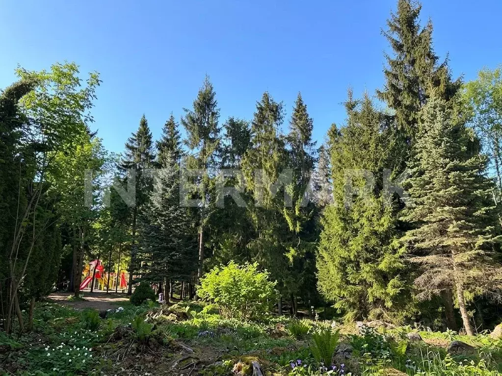 Участок в Московская область, Одинцовский городской округ, д. ... - Фото 2